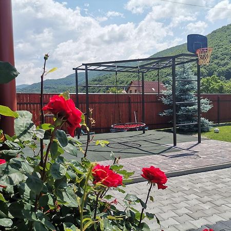 Dio Vendeghaz Hotell Praid Exteriör bild