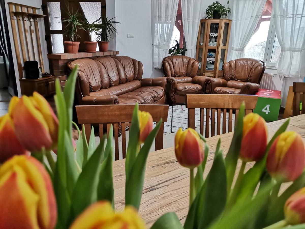 Dio Vendeghaz Hotell Praid Exteriör bild